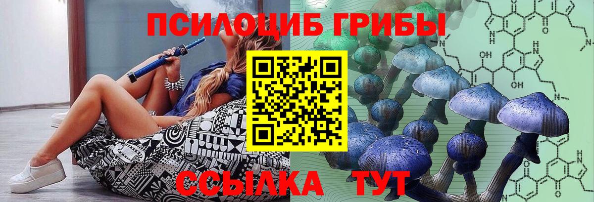 Северодвинск  Галлюциногенные грибы MAGIC MUSHROOMS  Вход с VPN 
